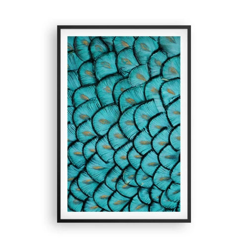 Affisch i svart ram - Den stora fjädergalan - 61x91 cm