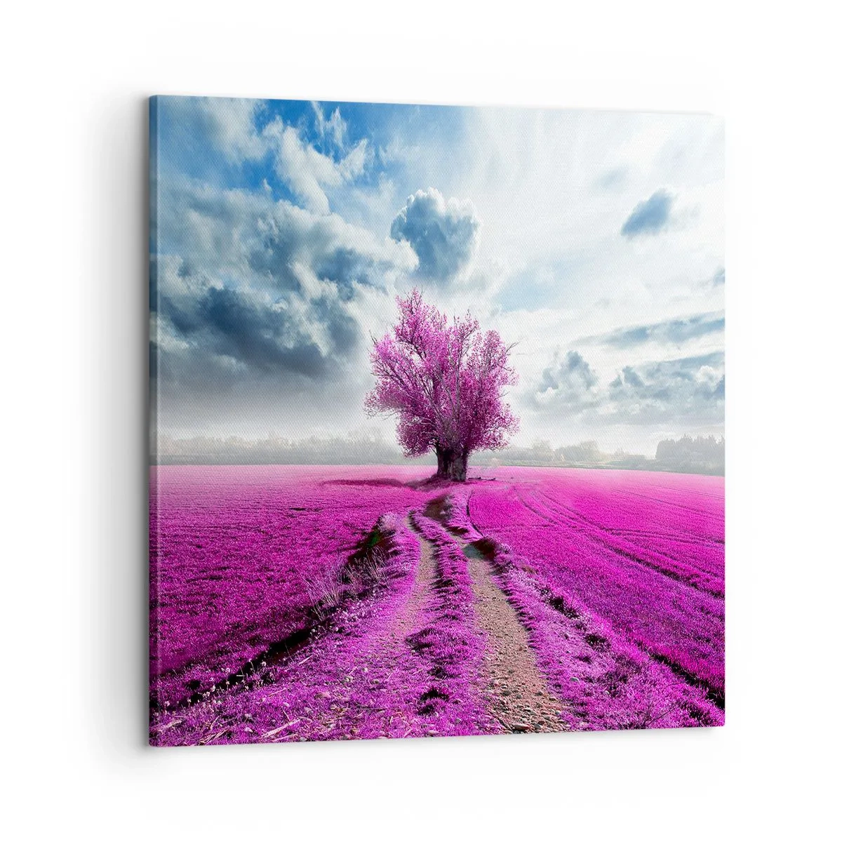 Canvastavla - Bild på duk - Ljunghed - 60x60 cm