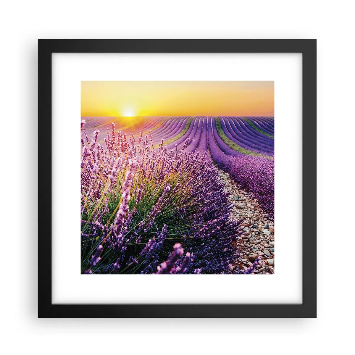 Affisch i svart ram - Doftande åkermark - 30x30 cm