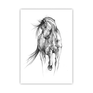 Affisch - Elegant trav - 70x100 cm