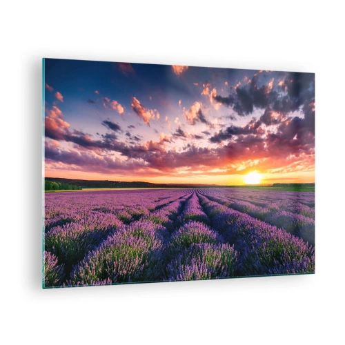 Glastavla - Bild på glas - Ett lavendelfält vid solnedgången med en färgglad himmel och moln - 70x50cm - Lavandelvärld - Modern väggdekoration för vardagsrum och sovrum ARTTOR