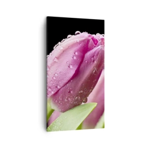 Canvastavla - Bild på duk - Lila sömn i daggen - 45x80 cm