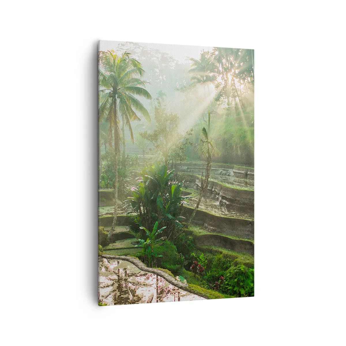 Canvastavla - Bild på duk - Växa upp i solsken - 80x120 cm