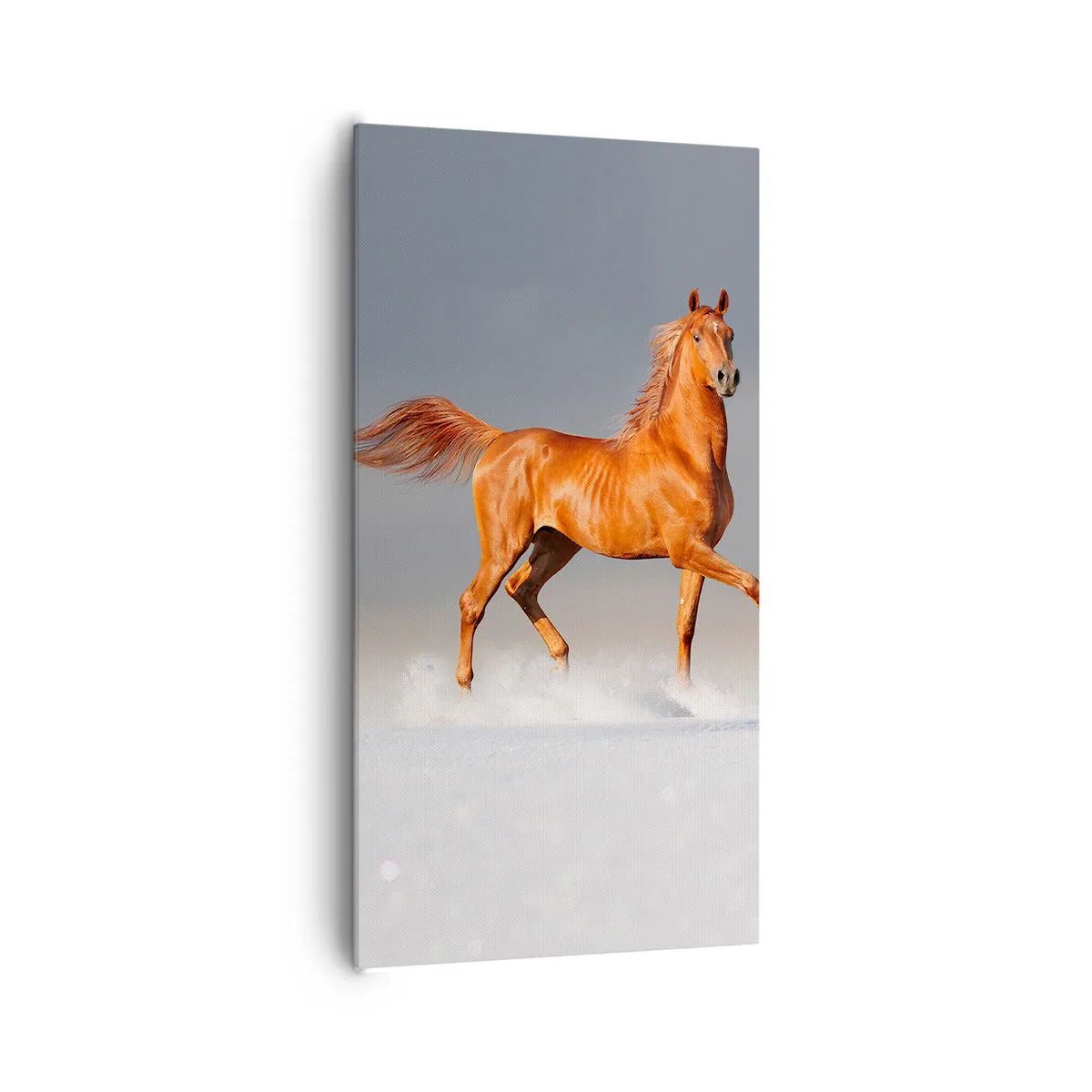 Canvastavla - Bild på duk - Dansande grace - 65x120 cm