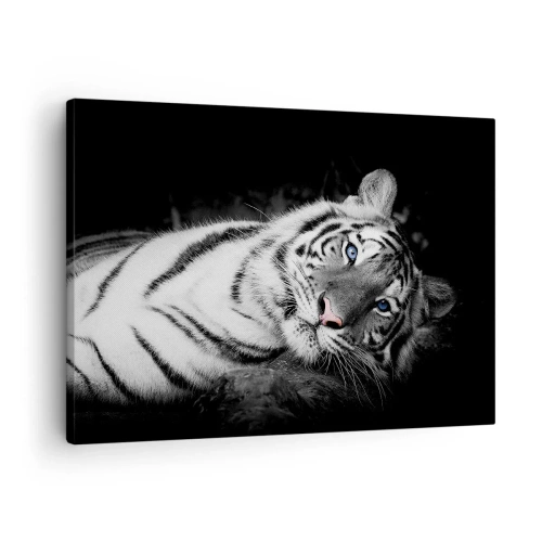 Canvastavla - Bild på duk - En konstnärligt återgiven vit tiger mot en svart bakgrund - 70x50cm - Vildhet och lugn - Modern väggdekoration för vardagsrum och sovrum ARTTOR