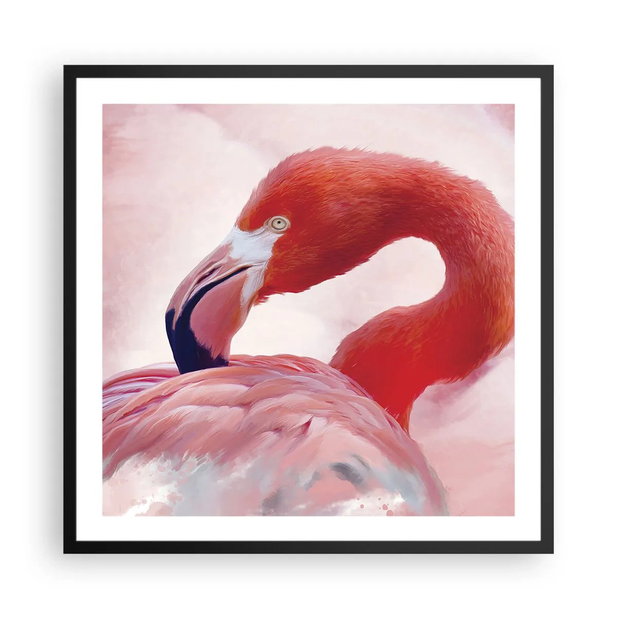 Affisch i svart ram - Fågelns skönhet - 60x60 cm