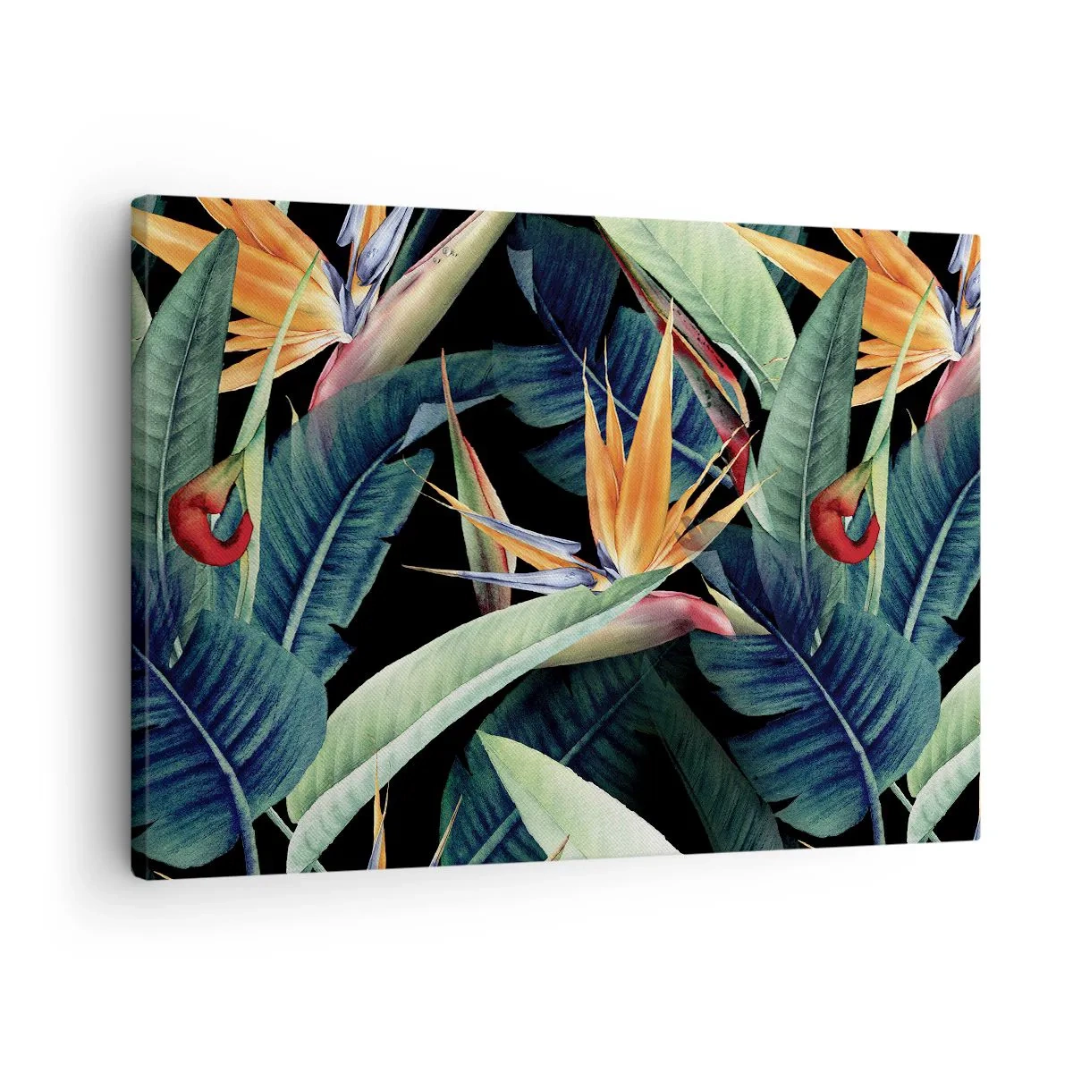 Canvastavla - Bild på duk - Tropiska blommor och blad på svart bakgrund - 70x50cm - Tropikens brinnande blommor - Modern väggdekoration för vardagsrum och sovrum ARTTOR