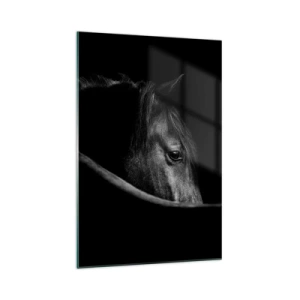 Glastavla - Bild på glas - Svart prins - 70x100 cm