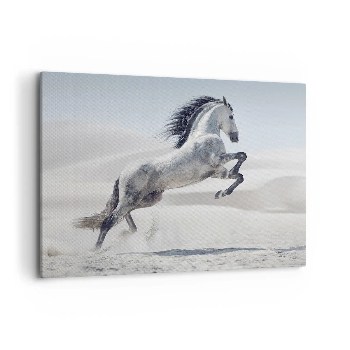 Canvastavla - Bild på duk - Arabisk prins - 100x70 cm