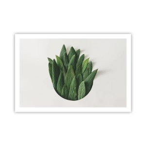 Affisch - Ostoppbar nyfikenhet - 91x61 cm