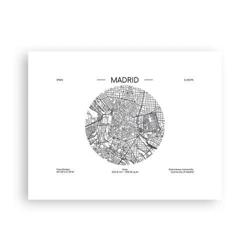 Affisch - Madrids anatomi - 40x30 cm