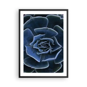 Affisch i svart ram - Konstnärlig närbild av ett geometriskt suckulentmönster - 50x70cm - Öknens blomma - Modern väggdekoration för vardagsrum och sovrum ARTTOR