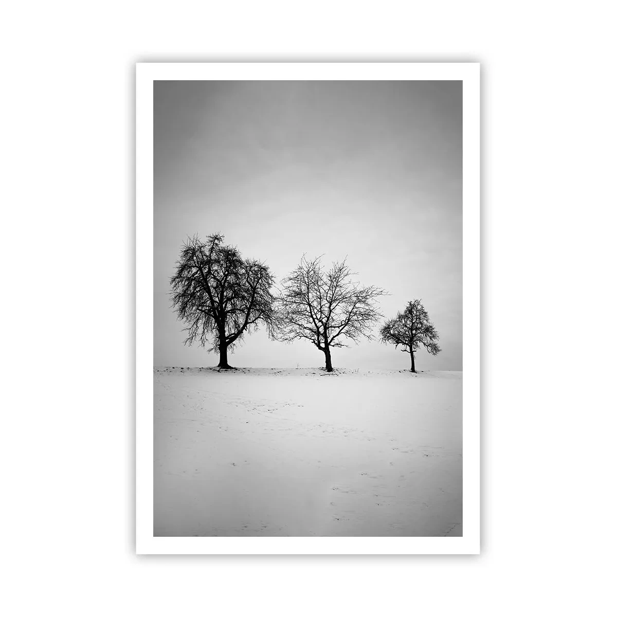 Affisch - Vad drömmer de om? - 70x100 cm