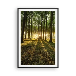 Affisch i svart ram - Fotografi av alla vårar - 61x91 cm