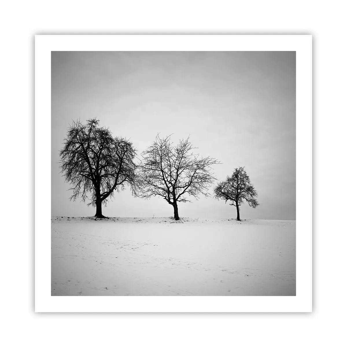 Affisch - Vad drömmer de om? - 60x60 cm