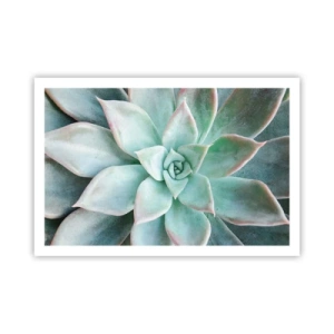 Affisch - Öknens hjärta - 91x61 cm