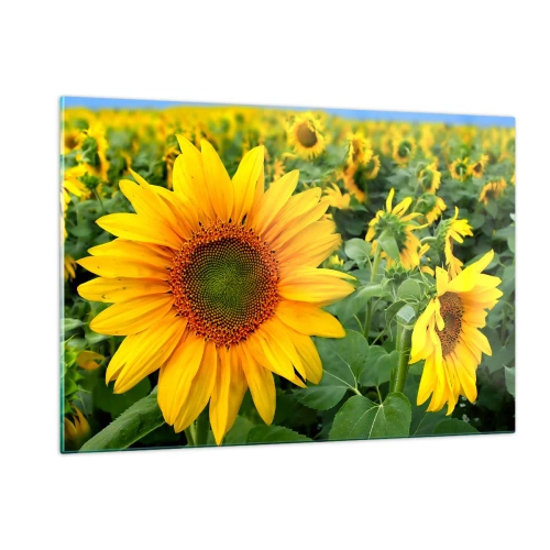 Glastavla - Bild på glas - Hundratals brinnande solar - 120x80 cm