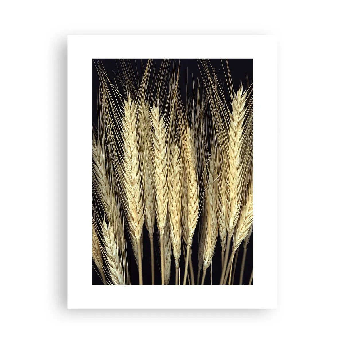 Affisch - Rustik magi - 30x40 cm