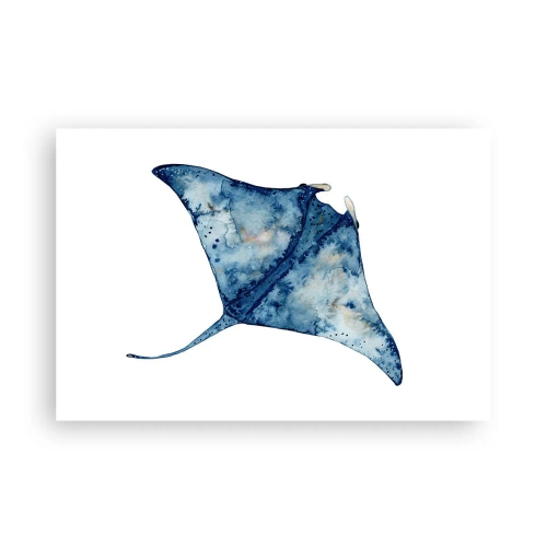 Affisch - Liv i blått - 91x61 cm