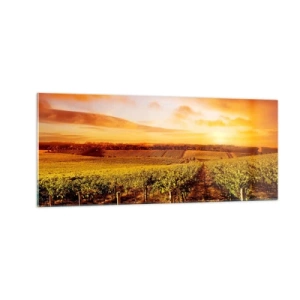 Glastavla - Bild på glas - Fina druvor med en gnutta sol - 100x40 cm