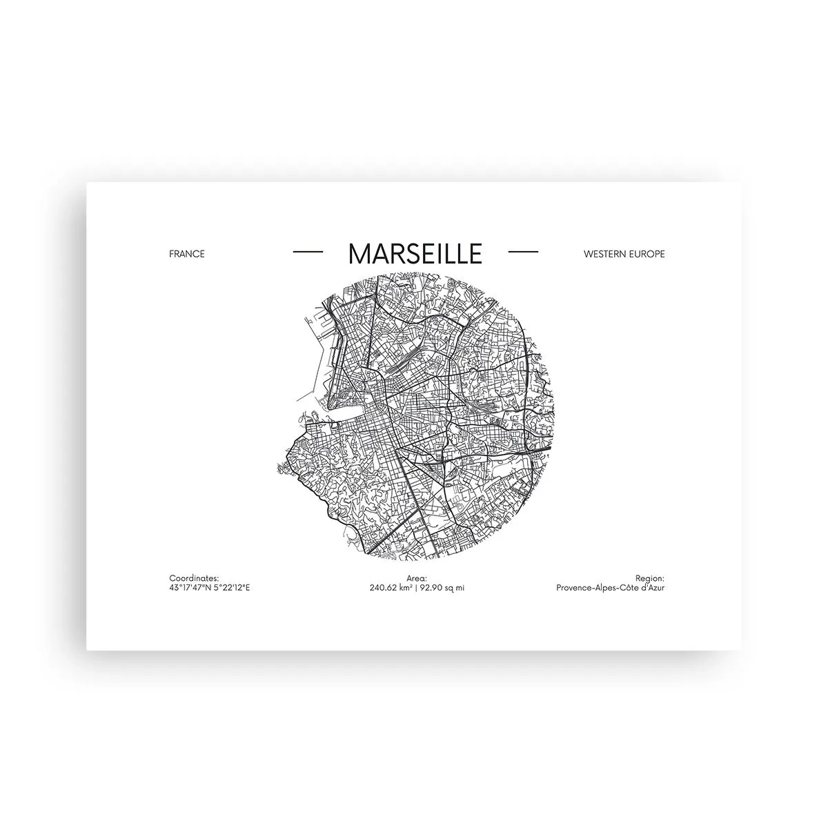 Affisch - Marseilles anatomi - 70x50 cm