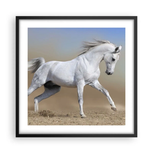 Affisch i svart ram - Den vackraste arabiska sagan - 50x50 cm