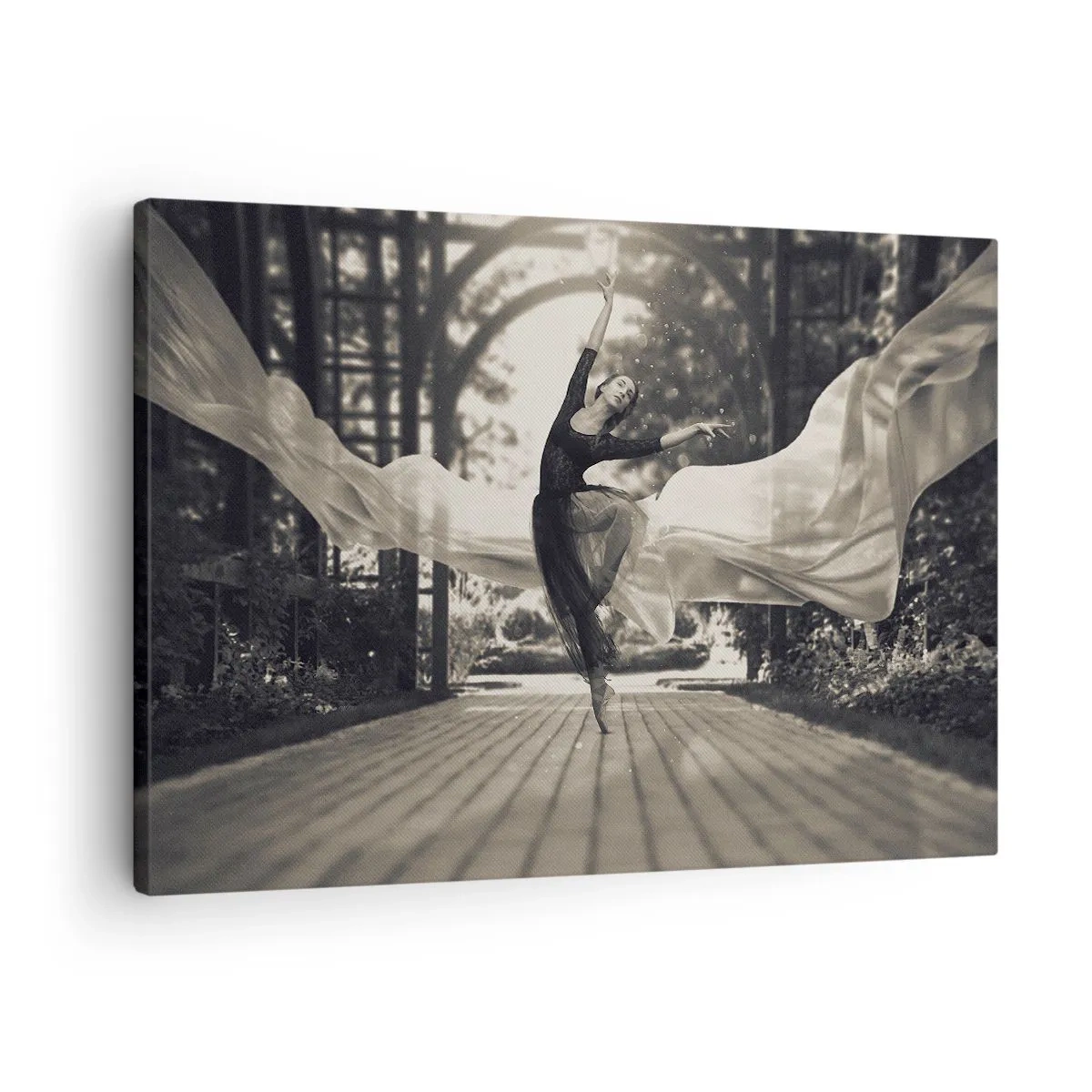 Canvastavla - Bild på duk - En dansare i en böljande klänning utför ett hopp mot en svartvit trädgårdsbakgrund. - 70x50cm - Trädgårdsandens dans - Modern väggdekoration för vardagsrum och sovrum ARTTOR