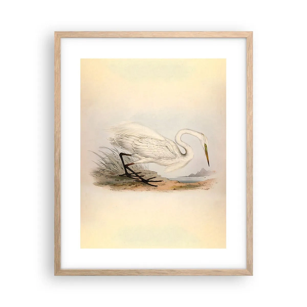 Affisch i ram av ljusek - En dam i vassen - 40x50 cm