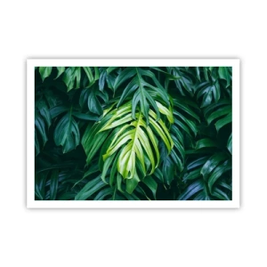 Affisch - Doppa sig i fräschheten - 100x70 cm