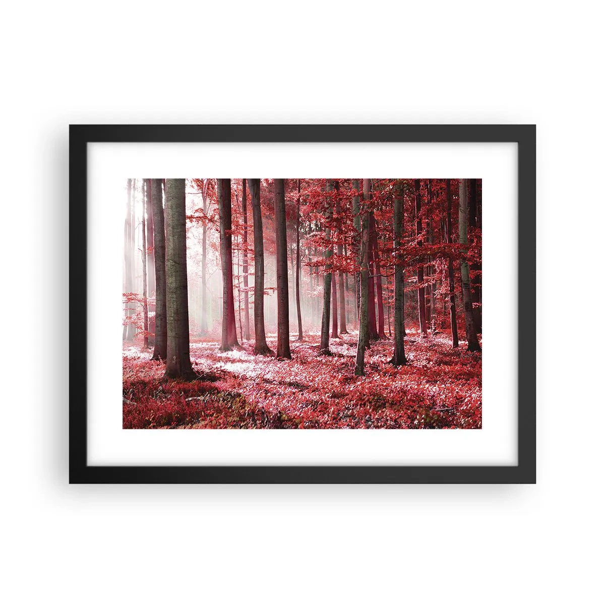 Affisch i svart ram - Röd är lika vacker - 40x30 cm
