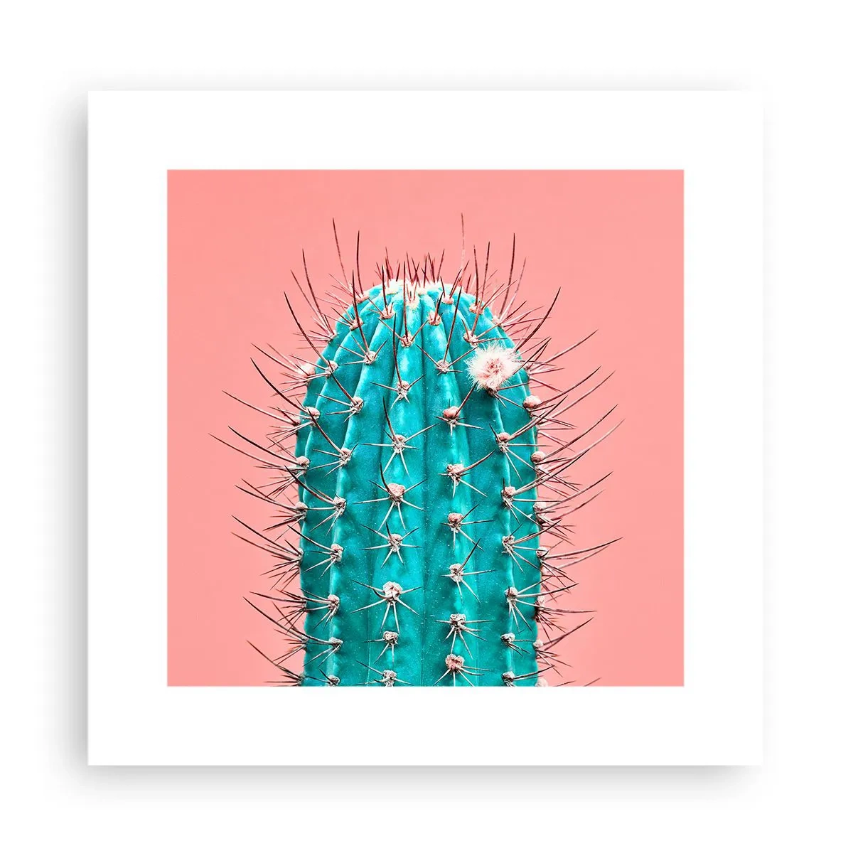 Affisch - Titta bara - 30x30 cm