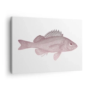 Canvastavla - Bild på duk - Detaljerad illustration av en fisk på vit bakgrund - 70x50cm - Storögd fisk - Modern väggdekoration för vardagsrum och sovrum ARTTOR