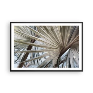 Affisch i svart ram - Solfjädrarna i tropikerna - 91x61 cm