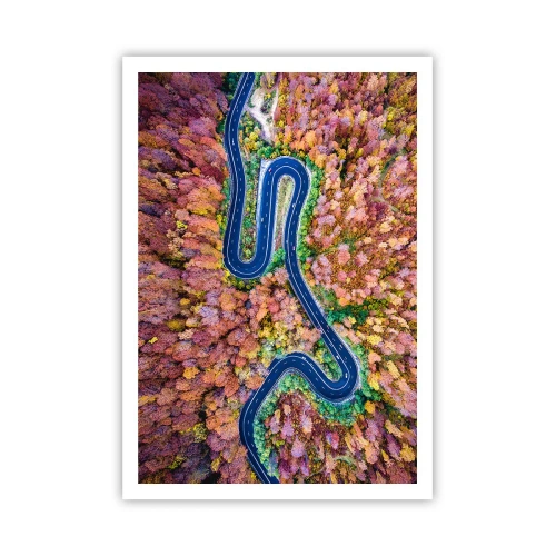 Affisch - Slingrande väg genom skogen - 70x100 cm