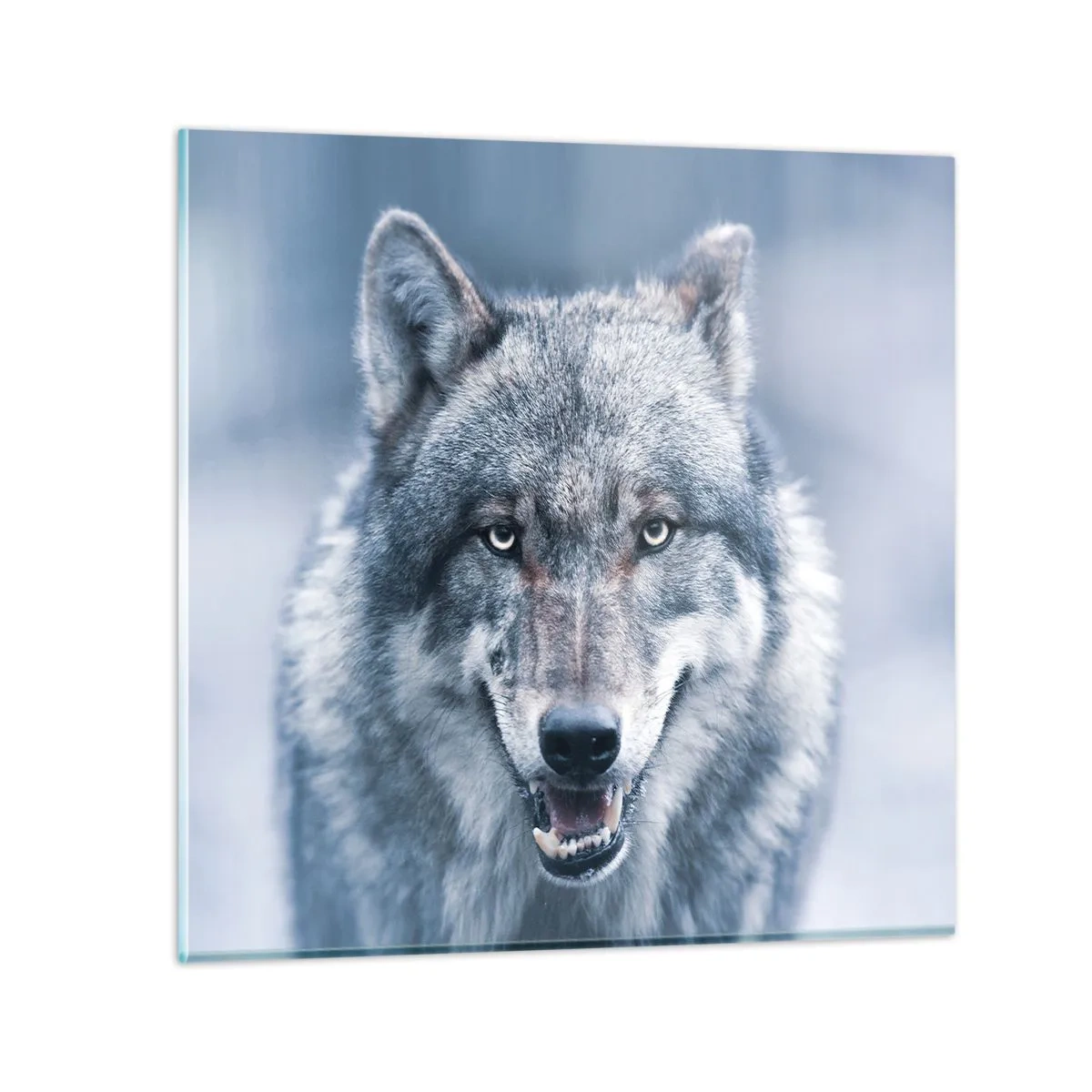 Glastavla - Bild på glas - Tar du utmaningen? - 50x50 cm