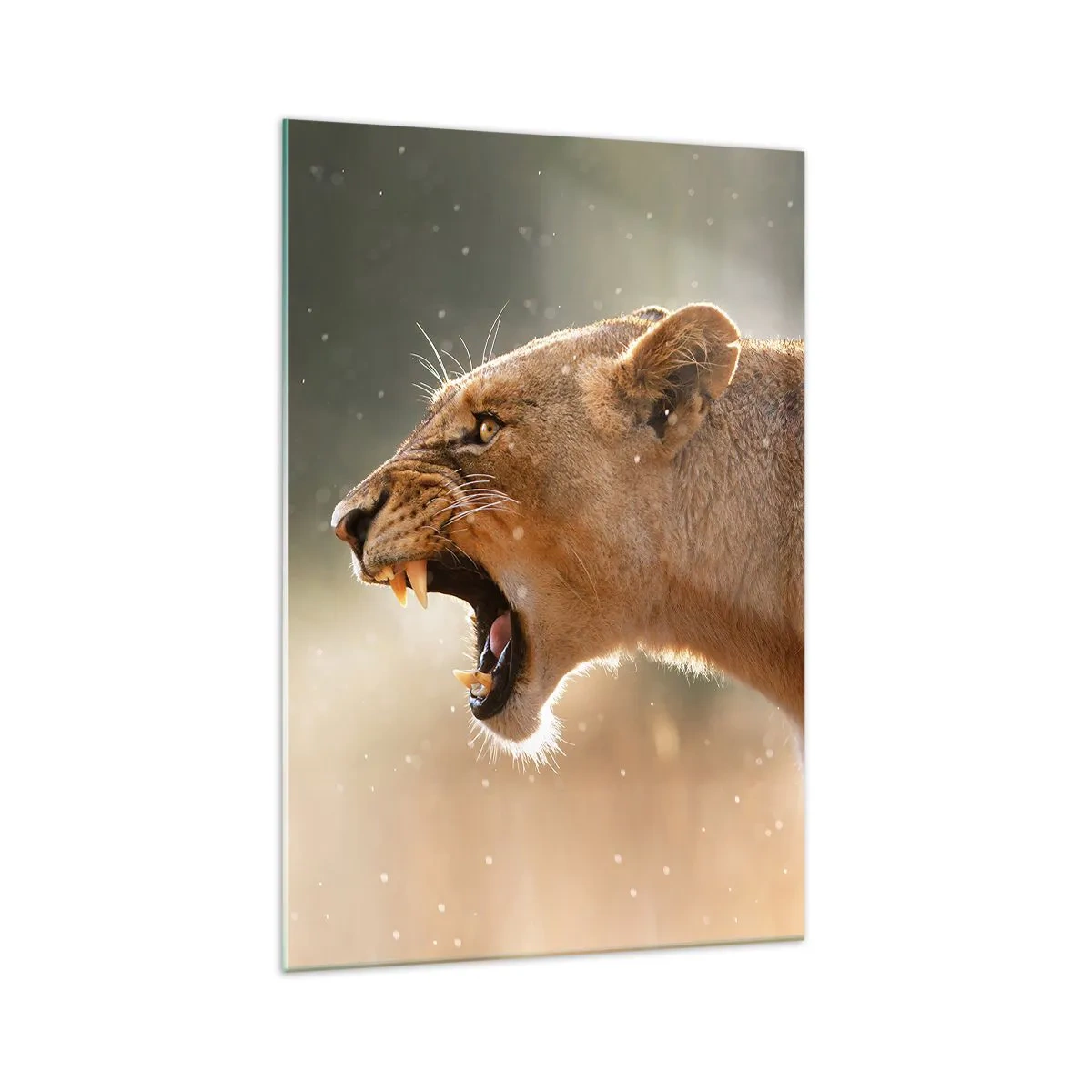 Glastavla - Bild på glas - Försök att inte lyssna - 70x100 cm