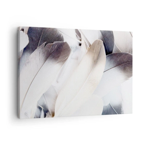 Canvastavla - Bild på duk - Närbild av fina fjädrar i nyanser av vitt och grått - 70x50cm - Nästan änglalik - Modern väggdekoration för vardagsrum och sovrum ARTTOR