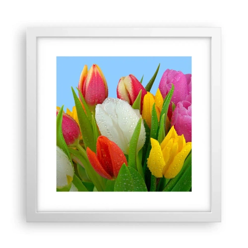 Affisch i vit ram - blommig regnbåge i daggdroppar - 30x30 cm