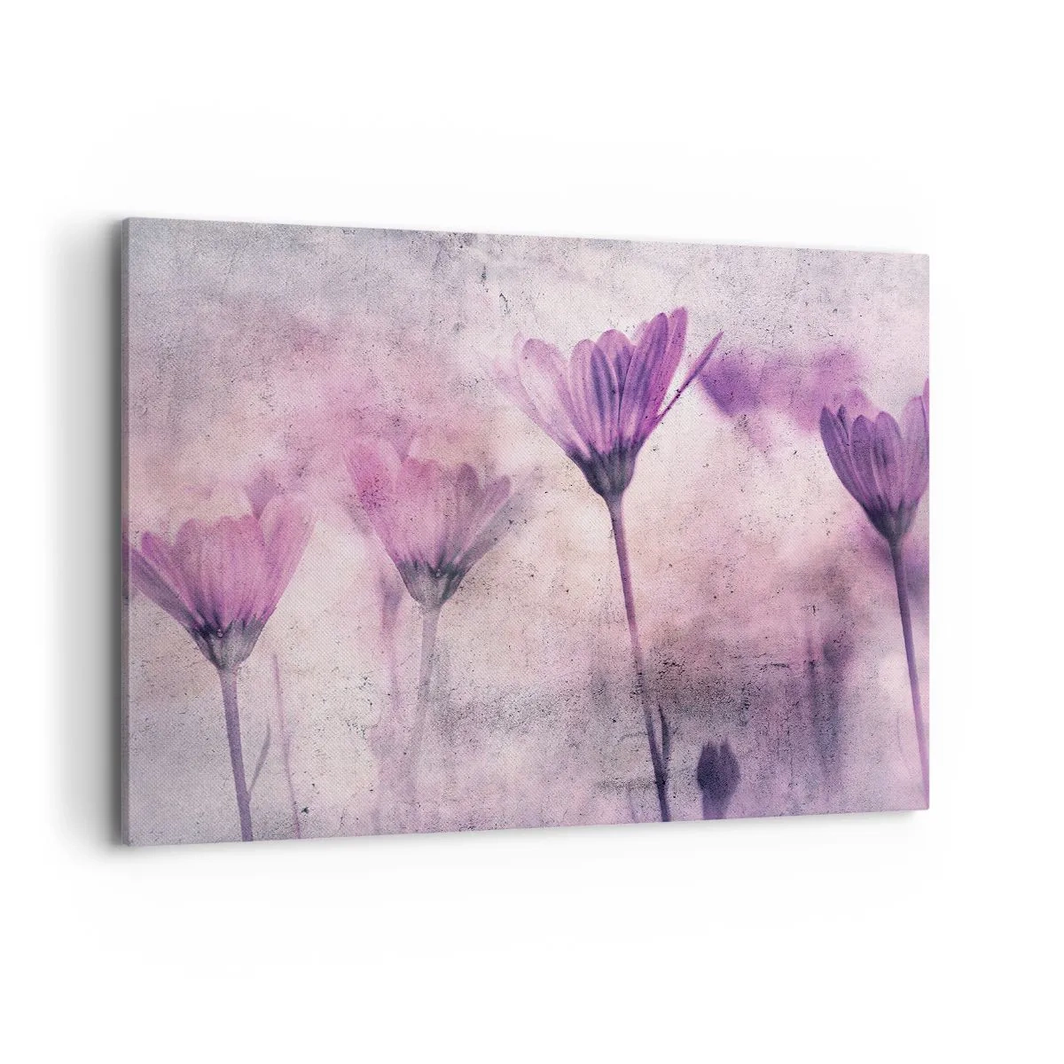 Canvastavla - Bild på duk - Blommornas sömn - 100x70 cm