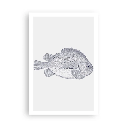 Affisch - Till naturforskarens album - 61x91 cm