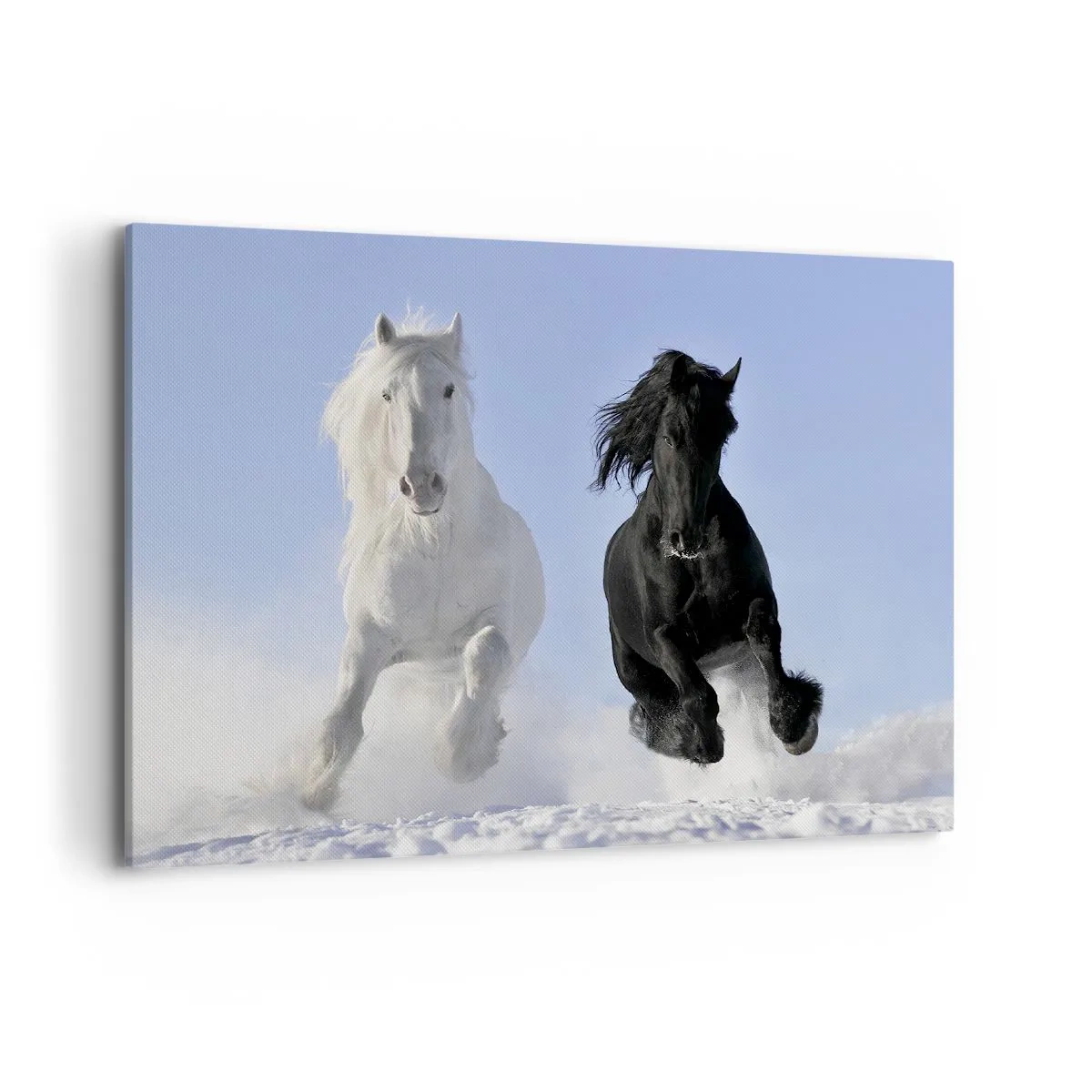 Canvastavla - Bild på duk - Svart-vit galopp - 100x70 cm