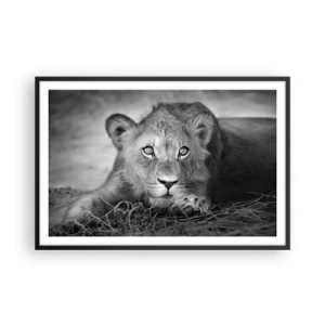 Affisch i svart ram - Kunglig valp - 91x61 cm