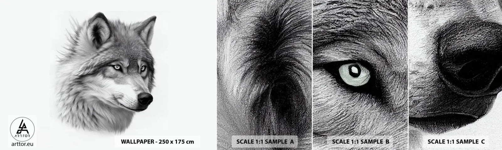 Provbit av självhäftande fototapet Deluxe Sticker - Alfa - utan tvekan - Varg, Djur, skandinavisk - 100x30 cm