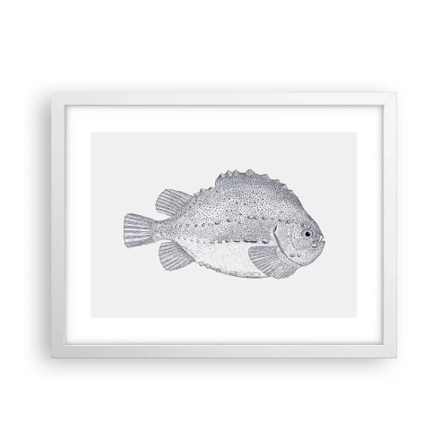 Affisch i vit ram - Till naturforskarens album - 40x30 cm