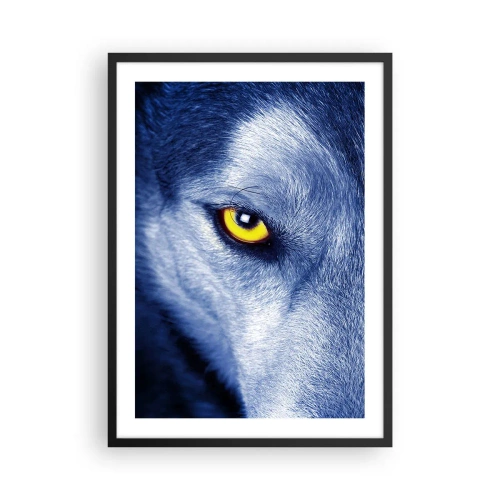 Affisch i svart ram - En närbild av en vargs gula öga i en blå ton - 50x70cm - Hypnotiserade titt - Modern väggdekoration för vardagsrum och sovrum ARTTOR