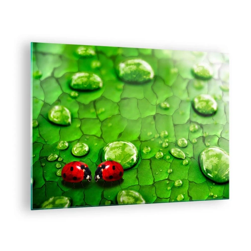 Glastavla - Bild på glas - Två nyckelpigor på ett grönt blad med vattendroppar - 70x50cm - Ett möte i det gröna - Modern väggdekoration för vardagsrum och sovrum ARTTOR