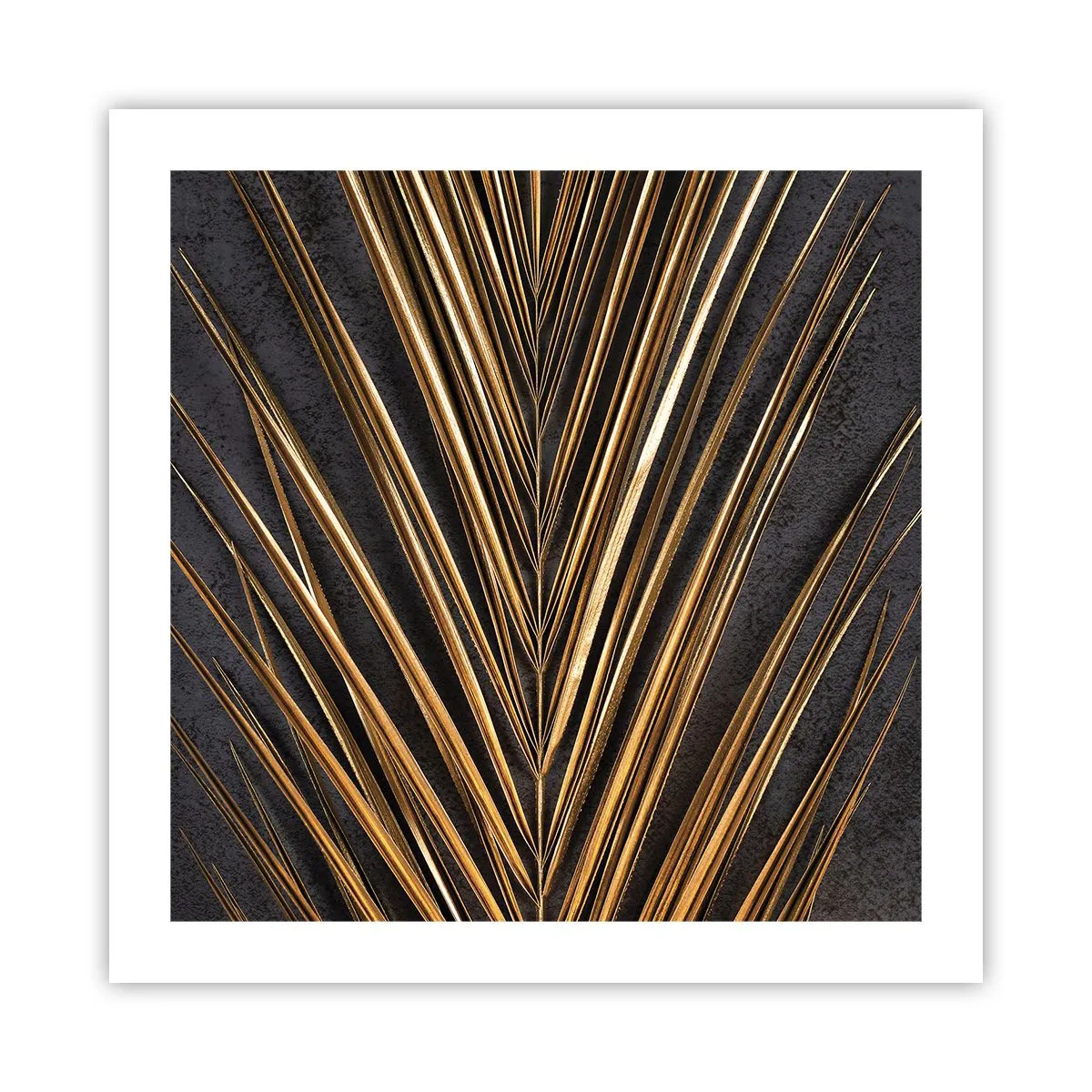 Affisch - Tropikens guld - 50x50 cm