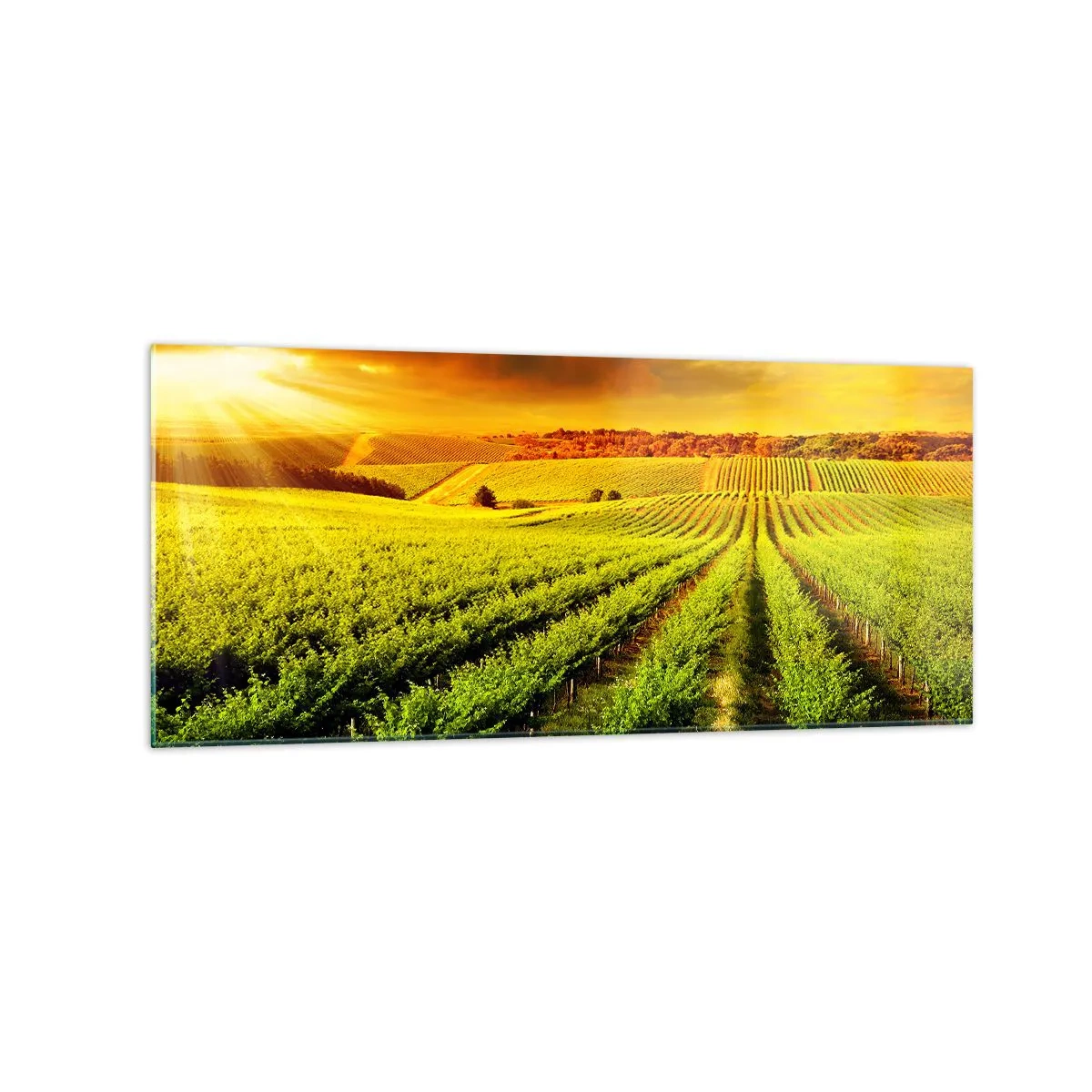 Glastavla - Bild på glas - Under australiensiska solen - 120x50 cm