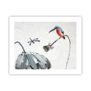 Affisch - Ängens liv - 50x40 cm