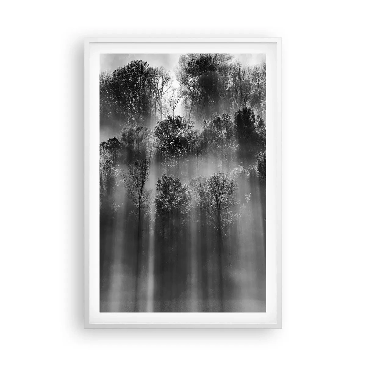 Affisch i vit ram - I ljusstrålar - 61x91 cm